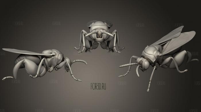 Insect beetles 7 3d stl модель для ЧПУ